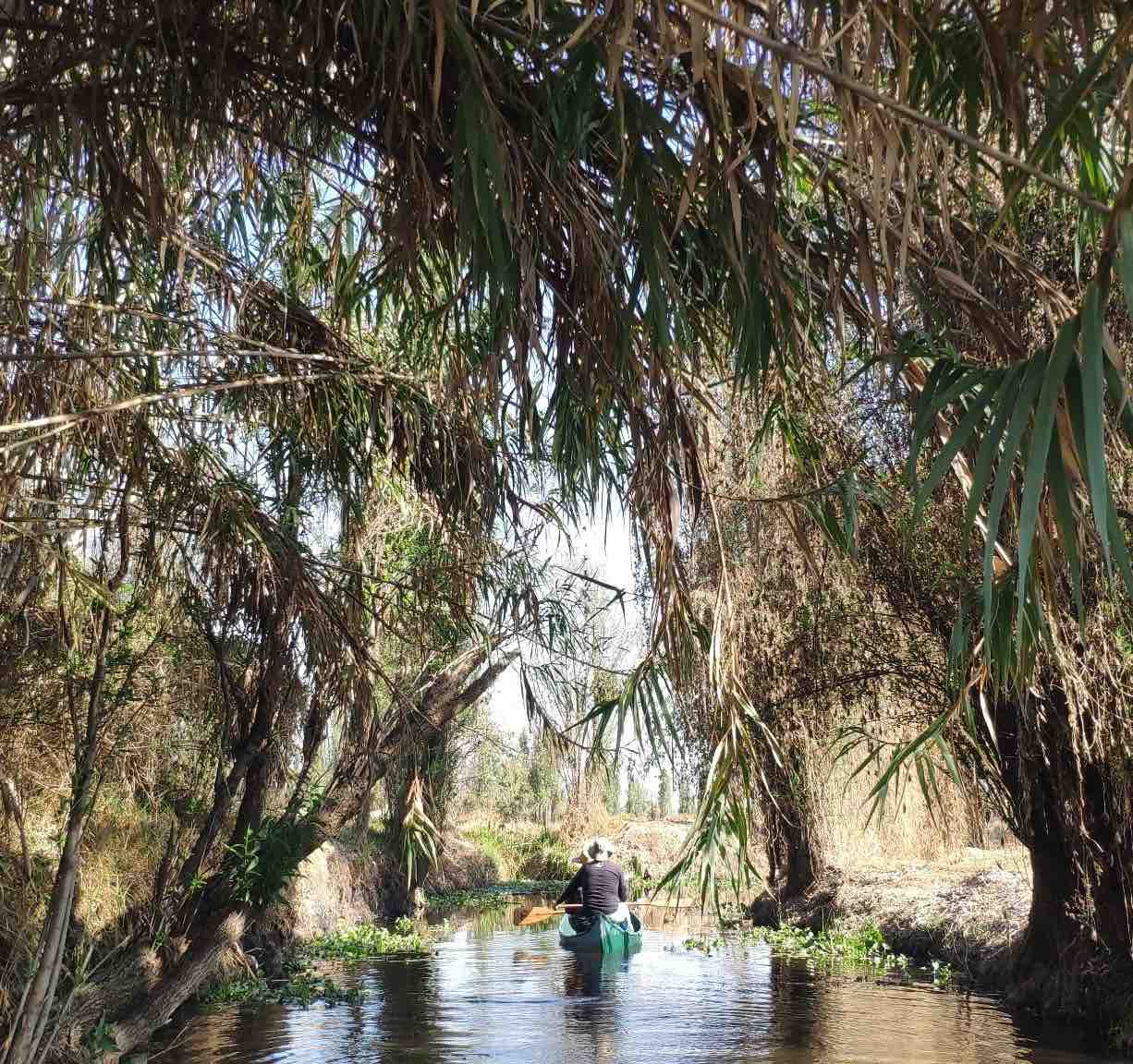 Eco-tour en el lado no turístico de Xochimilco