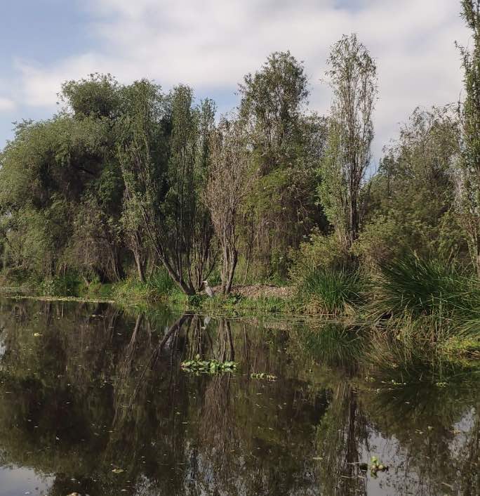 Eco-tour en el lado no turístico de Xochimilco